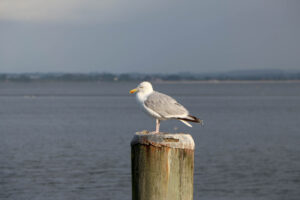 Ostseeurlaub