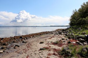 Naturstrand an der Ostsee