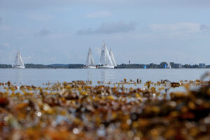 Segeln auf der Ostsee